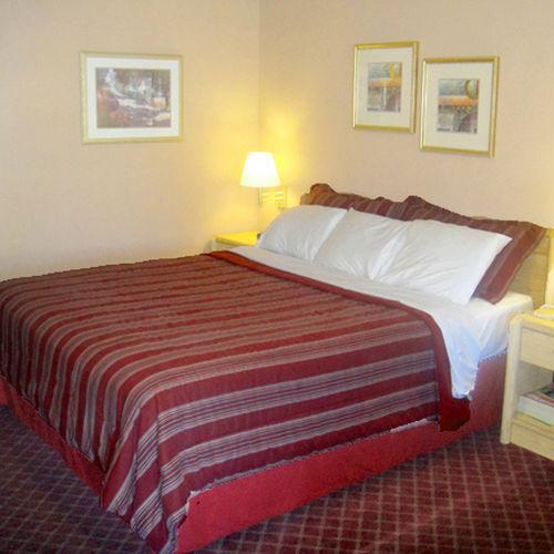 Muir Lodge Motel Martinez Chambre photo
